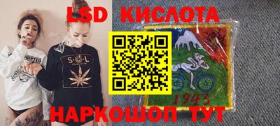 шишки Донской