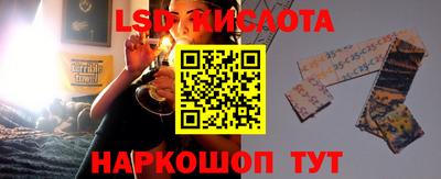 шишки Донской