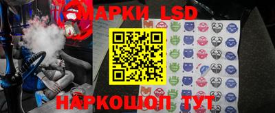 шишки Донской