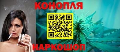 шишки Донской
