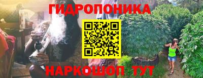 гидра Донецк