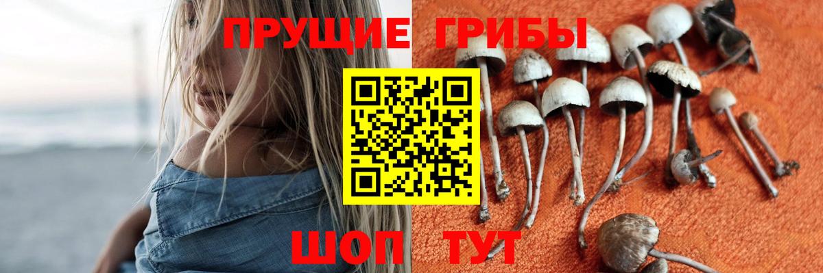 Псилоцибиновые грибы мухоморы Лениногорск